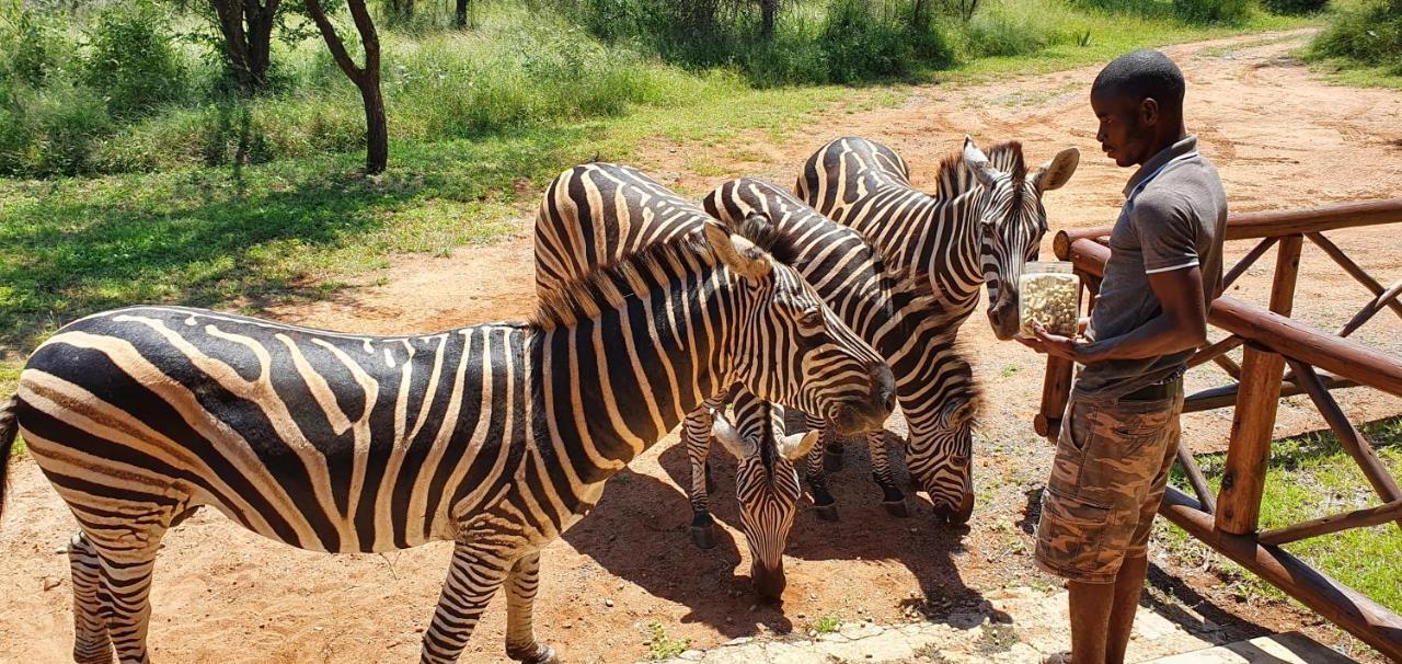 Willa Giraffe Plains Marloth Park Zewnętrze zdjęcie