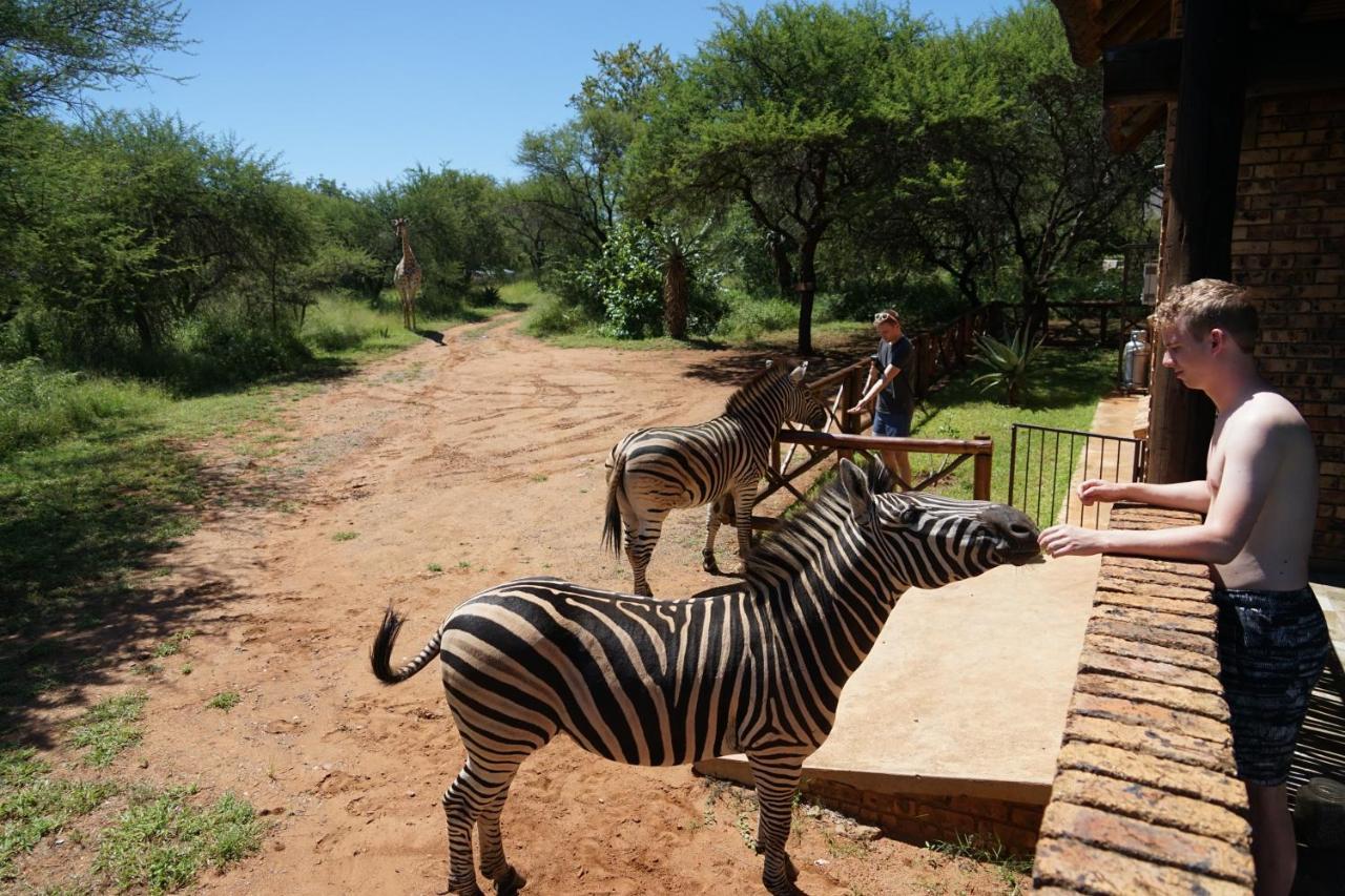 Willa Giraffe Plains Marloth Park Zewnętrze zdjęcie