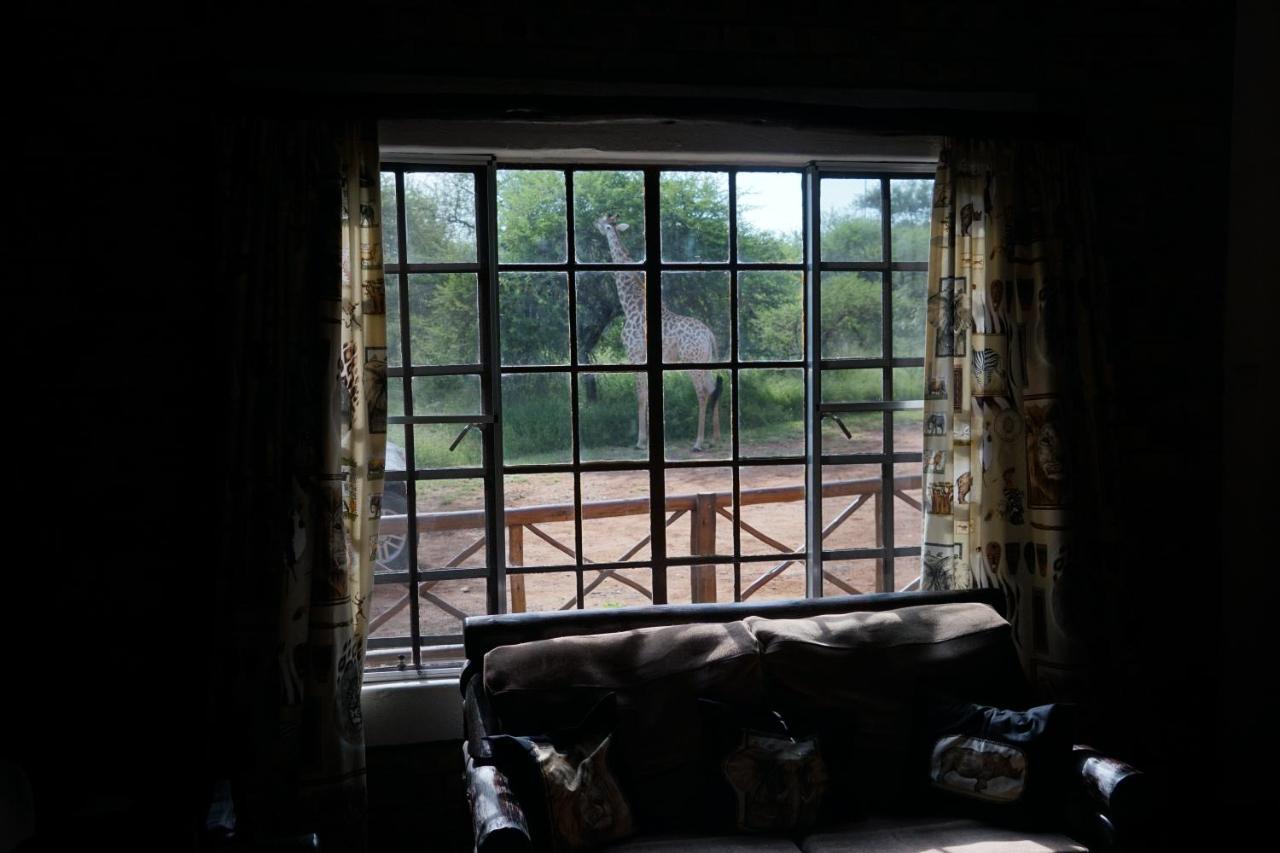 Willa Giraffe Plains Marloth Park Zewnętrze zdjęcie