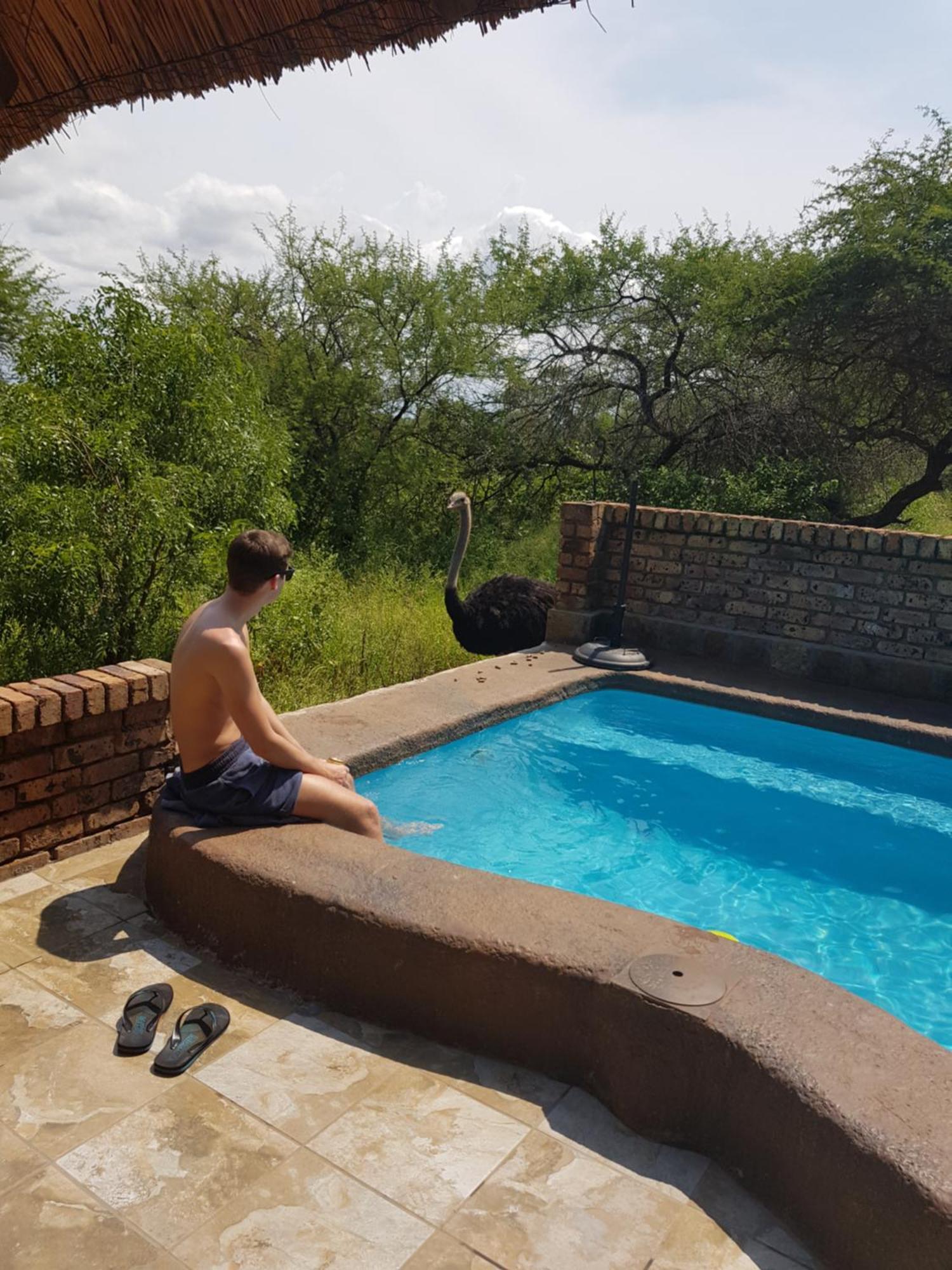 Willa Giraffe Plains Marloth Park Zewnętrze zdjęcie